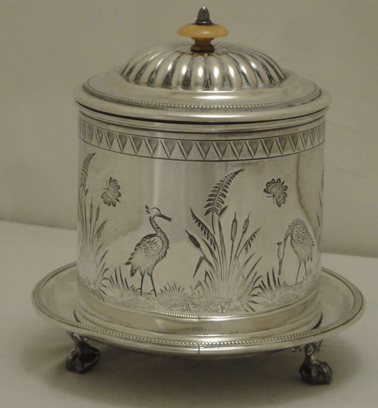 Canna da biscotto con piedi a sfera e artiglio
manico avorio
Decorato con uccelli trampolieri, canne e farfalle
Circa 1880
In ottime condizioni
Timbro alla base - Reg n. 1042