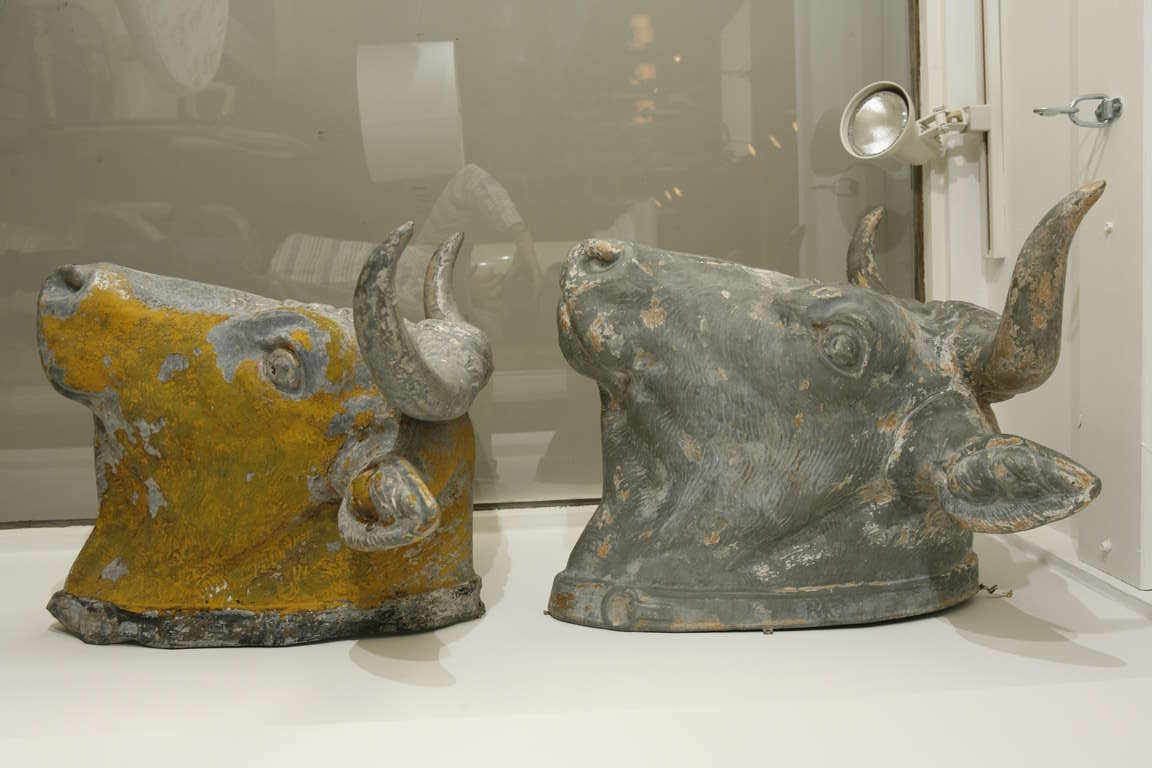 Pair of 19th Century, French Tetes de Taureau Bull Heads In Good Condition In Washington, DC