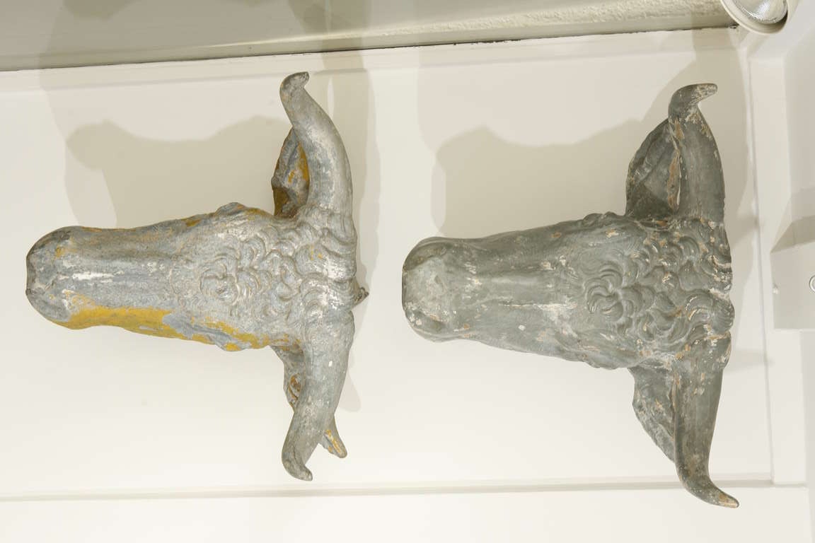 Pair of 19th Century, French Tetes de Taureau Bull Heads 1