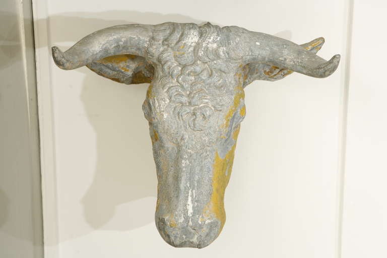 Pair of 19th Century, French Tetes de Taureau Bull Heads 2