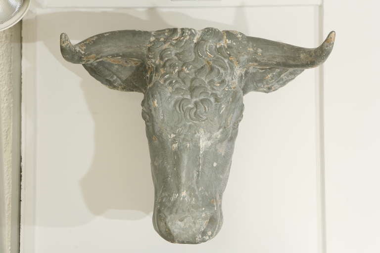 Pair of 19th Century, French Tetes de Taureau Bull Heads 3