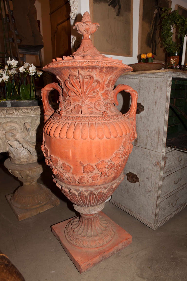Pair of Large Red Terracotta Urns 1