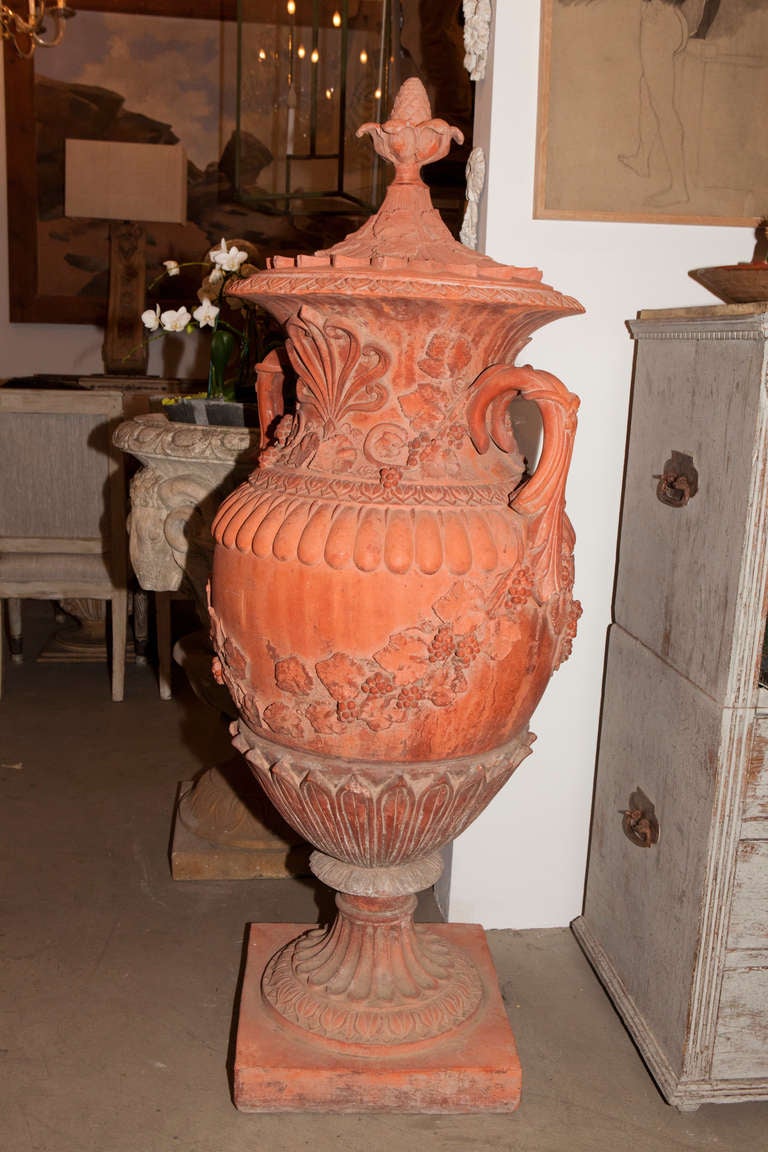 Pair of Large Red Terracotta Urns 2