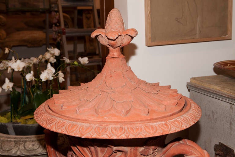 Pair of Large Red Terracotta Urns 3