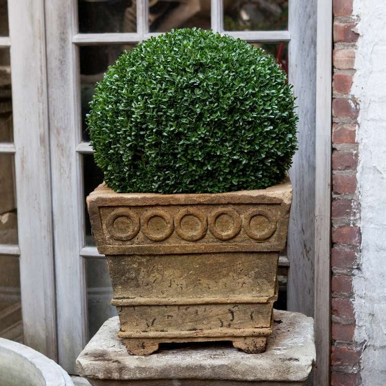 Pair of French Carved Stone Planters In Good Condition In New York, NY