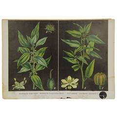 Litograph Bohemian, Manufactured in 1930s 12