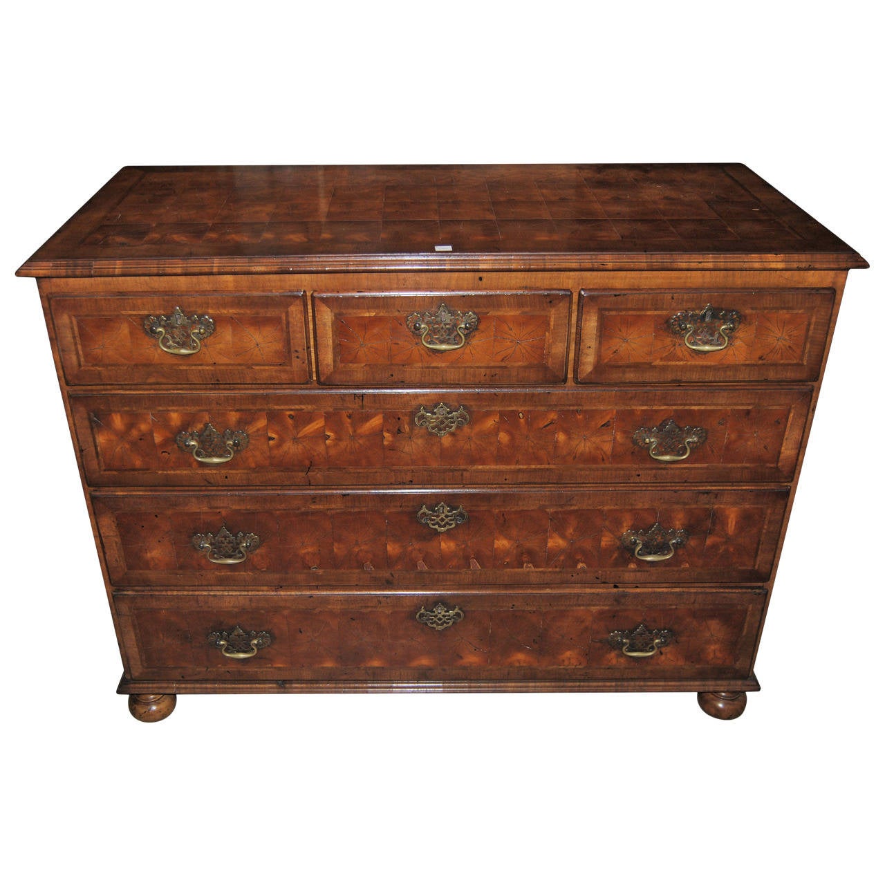 19th Century English Oyster Yew Chest at 1stdibs