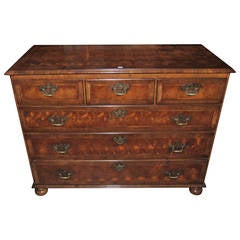 19th Century English Oyster Yew Chest