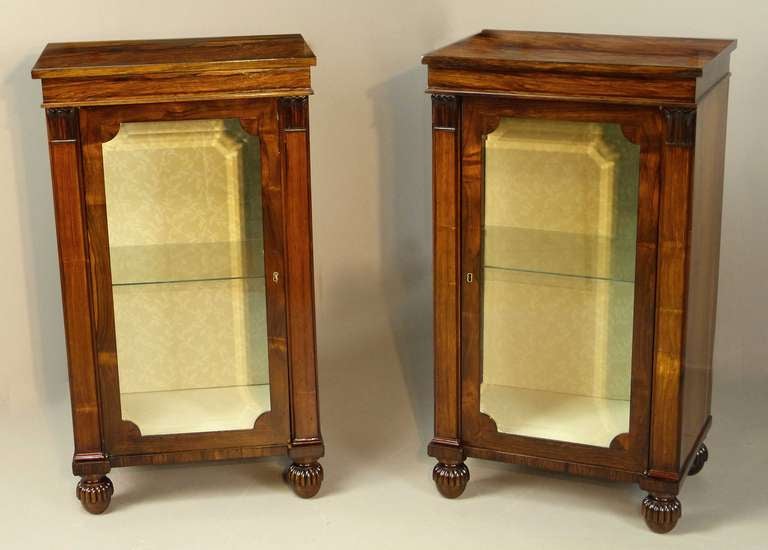 Rare pair of Regency pedestal display cabinets, early 19th century, of Brazilian 