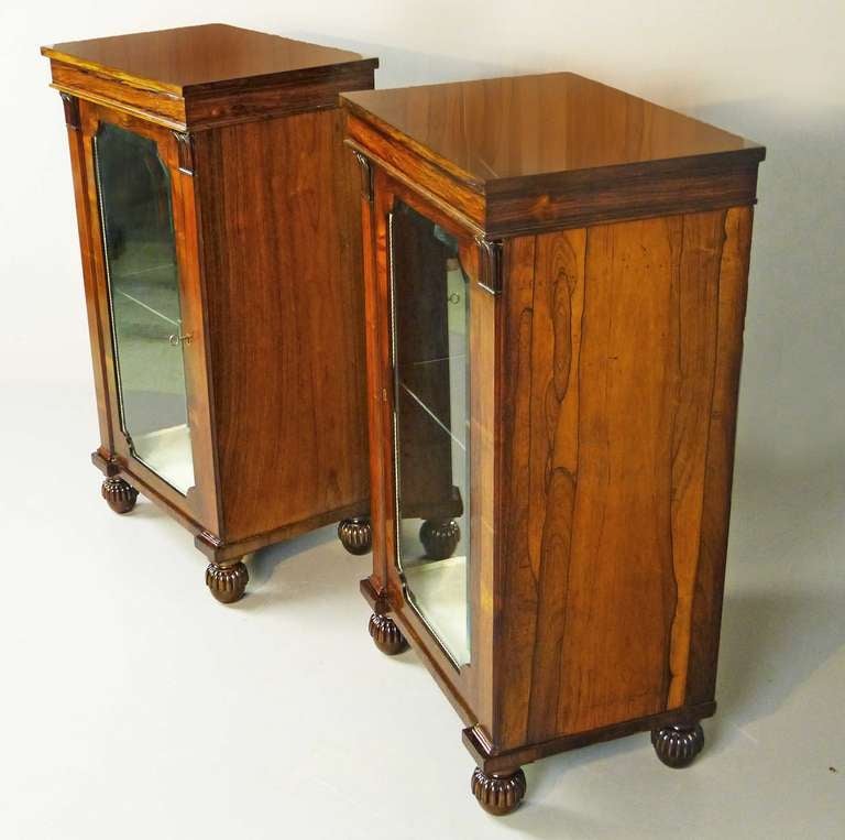 British Rare Regency Pair of Pedestal Display Cabinets