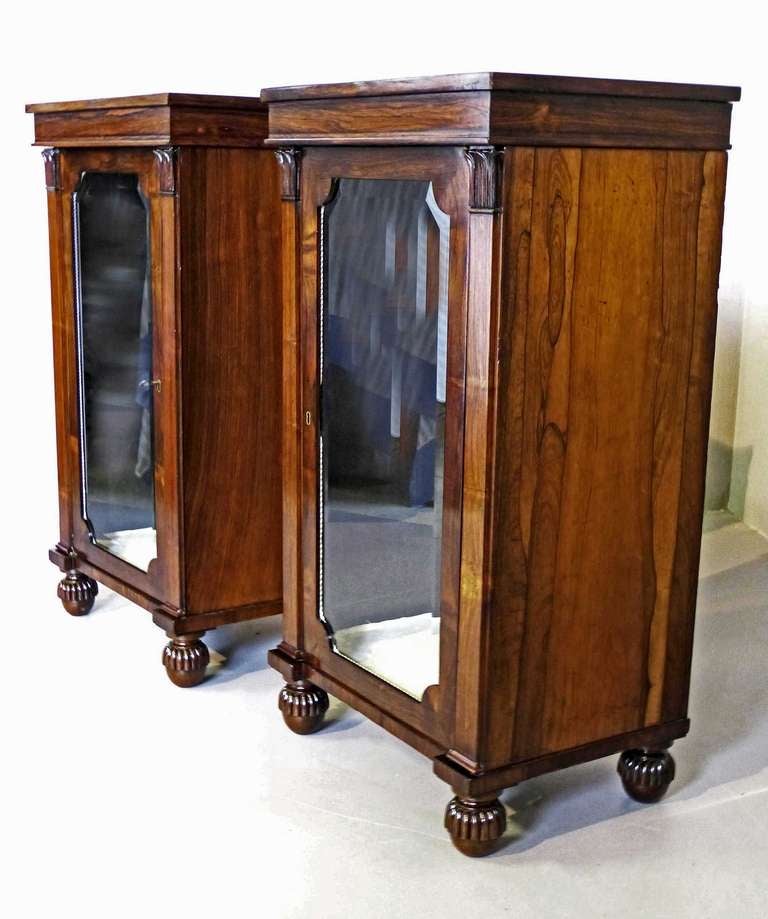 Rare Regency Pair of Pedestal Display Cabinets In Excellent Condition In Santander, ES