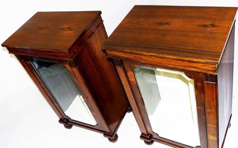 19th Century Rare Regency Pair of Pedestal Display Cabinets