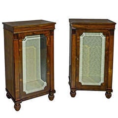 Antique Rare Regency Pair of Pedestal Display Cabinets