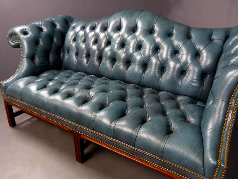 Camel back sofa in the Chippendale style with marlborough fluted front legs braced with the sabre rear legs through strechers. The leather is teal color(greenish blue), supple and deeply buttoned, finished with closely nailed brass studs at the