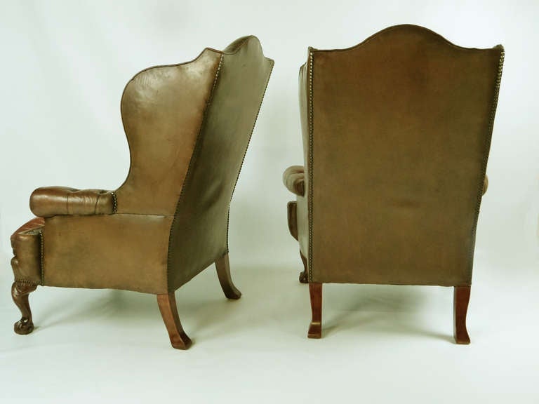 Imposing pair of leather wingback chairs in the Chippendale style with deep buttoned backs and arms and carved knee front cabriolé legs, ending in ball and claw. True to the Chippendale designs, they exhibit bold curves and beautifully rolled arms.