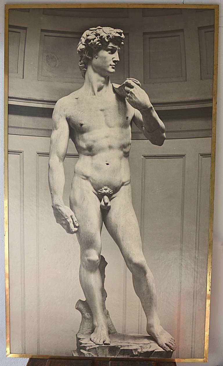 Impressive Photograph of Michelangelo's David