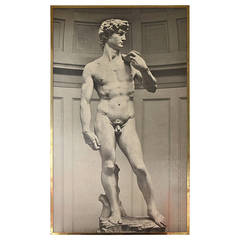 Impressive Photograph of Michelangelo's David