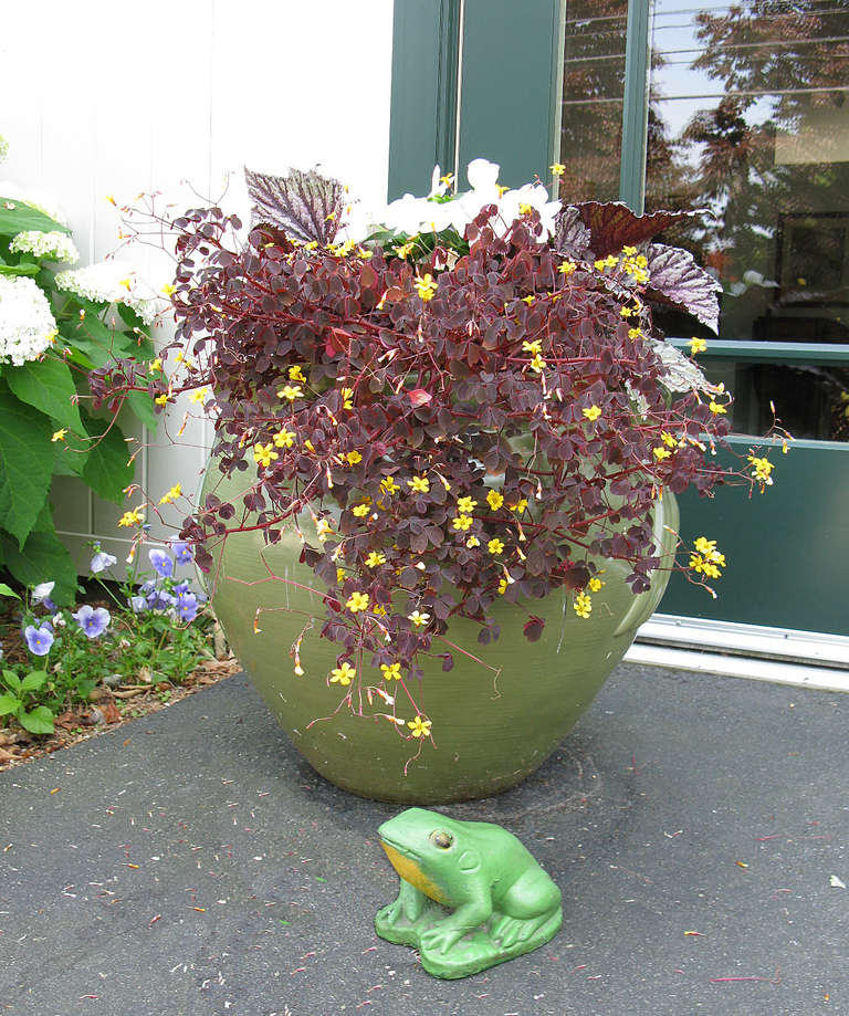 Lawn Frog In Excellent Condition In Damariscotta, ME