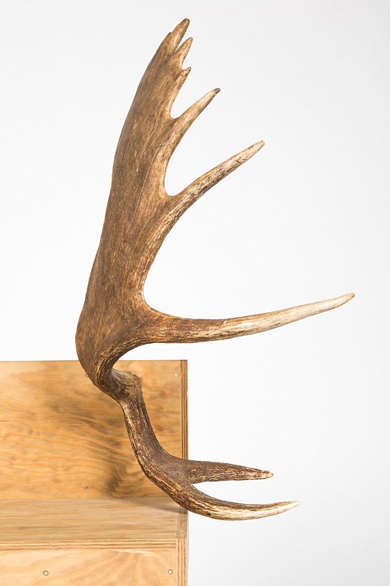 rick owens stag chair