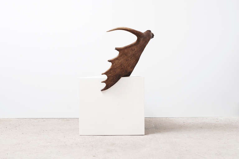 Tomb Stag Stool by Rick Owens In Excellent Condition For Sale In New York, NY