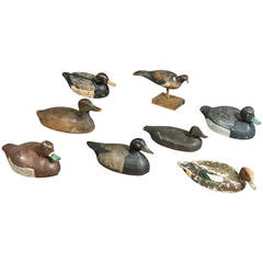 Antique Set of Eight Decoy Ducks