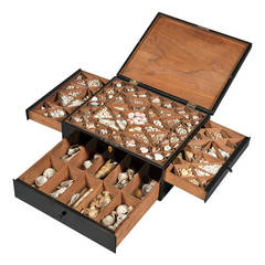 Mid-19th Century Ebonised Fruitwood Collectors Box, Filled with Shells
