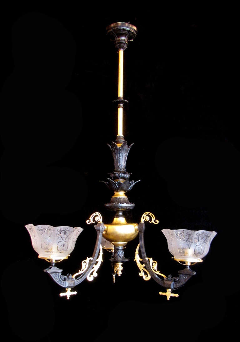 This is a fine Eastlake style chandelier with rococo influence, and was originally gas.  The arms and stem are contrasting black patinated metal and a 23 K gold leaf finish over bronze. It is sold with shades of the period, and made of acid etched