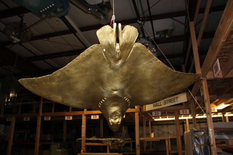 20th Century Large Scale Plaster Sting Ray For Sale