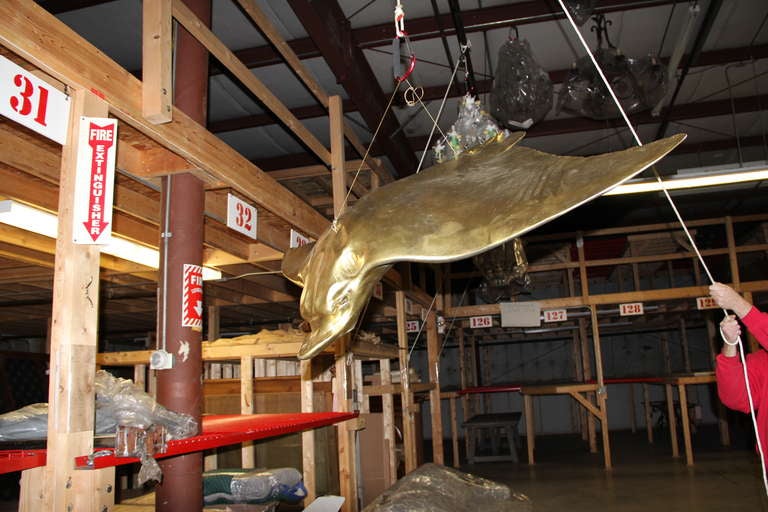 Large Scale Plaster Sting Ray For Sale 1