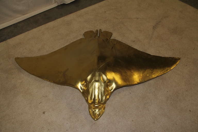 Large scale plaster sting ray painted gold. Includes hanging wire at top