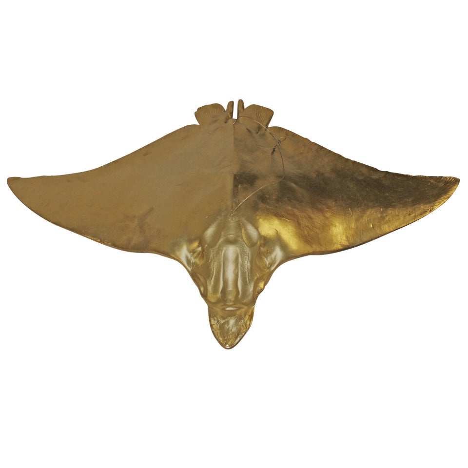 Large Scale Plaster Sting Ray For Sale