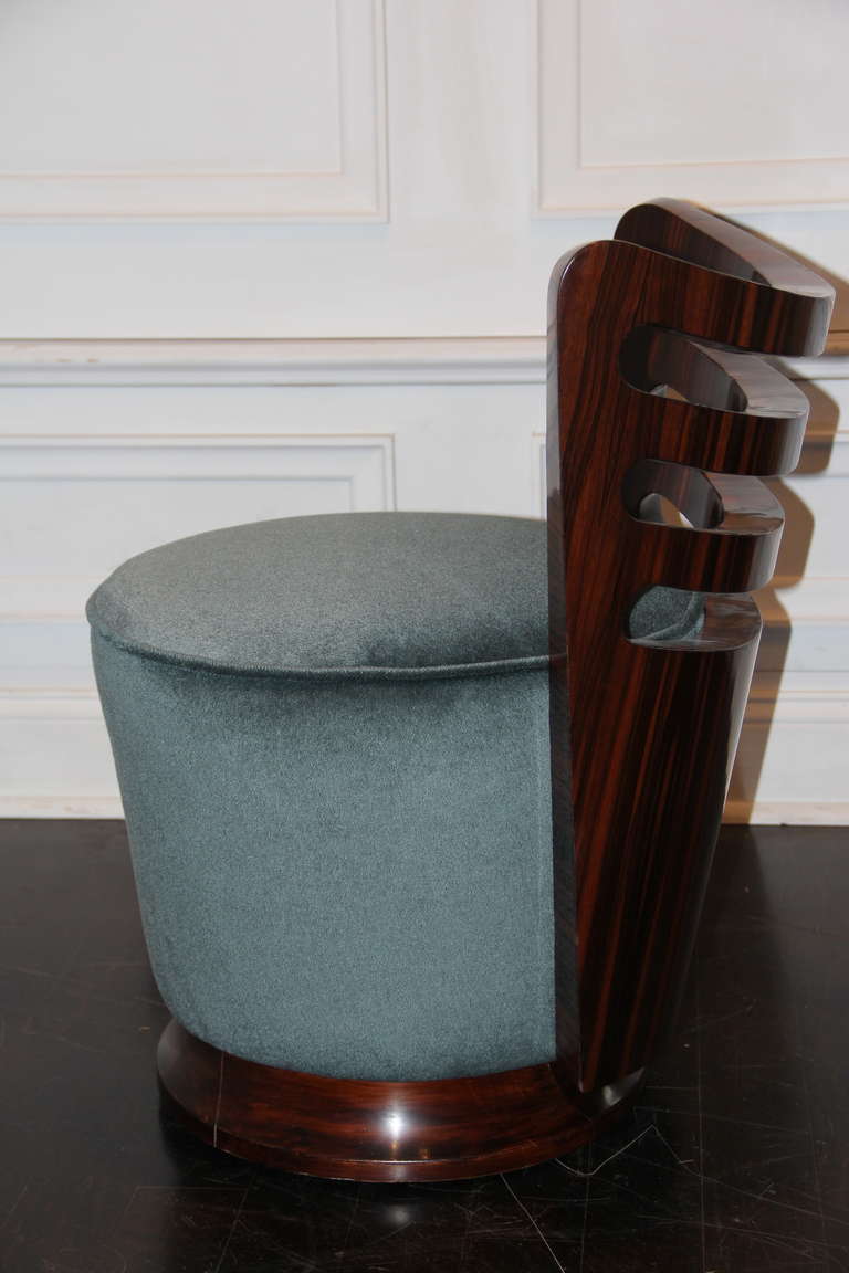 Pair of Macassar Ebony Chairs For Sale 1