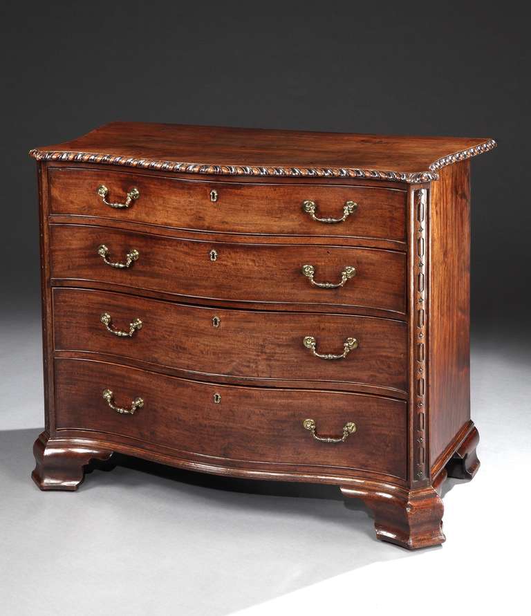 A mid 18th century carved mahogany chest of drawers of outstanding colour and patination, having a serpentine shaped top with finely carved gadrooned edge above four graduated drawers retaining their original ornate brass handles, flanked by carved