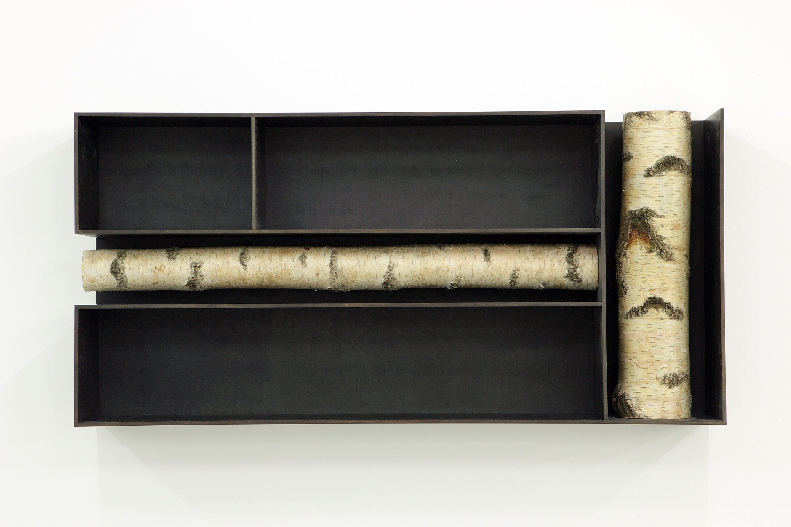 Andrea Branzi, Tree 3, Cabinet, Bookshelf, Birch Wood, Patinated Aluminum, 2010