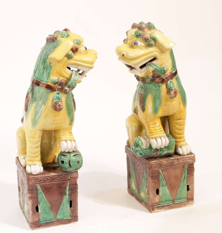 Striking Foo dogs couple very well preserved in yellow, green and brown colours. Made in stoneware glaze, they belong to chinese Qing Dinasty reigning in China between 1664 and 1911.