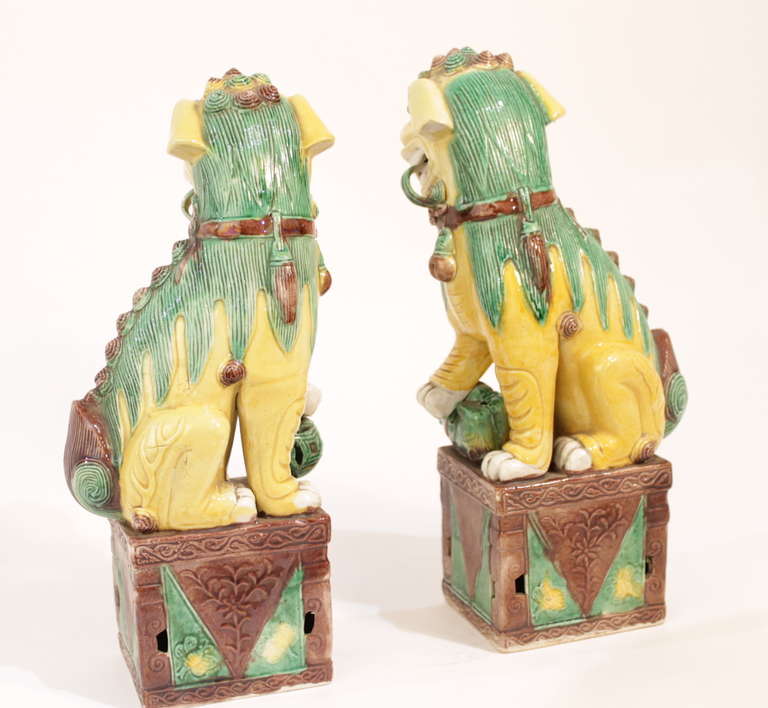 Chinese 19th Century Foo Dogs