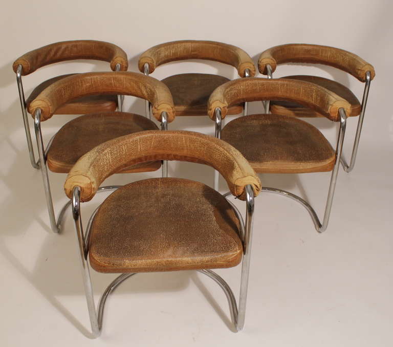 A vintage mid-century  Set of eight Delphi armchairs designed by Ernst Burgdorfer. Chairs are in steel structure with original imitation leather in old condition.
Two of the chairs are smaller than the rest ones.