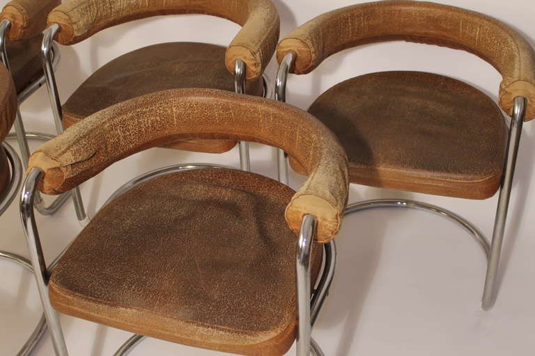 20th Century Eight Delphi Armchairs by Ernst Burgdorfer