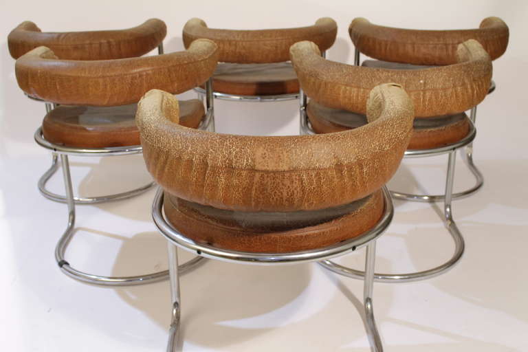 Naugahyde Eight Delphi Armchairs by Ernst Burgdorfer