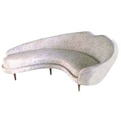 Curved Sofa by Federico Munari, 1950