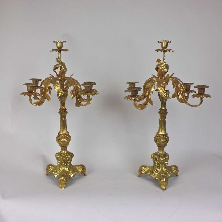 Pair of elegant rococo gilt bronze candelabras with five arms, in the shape of sprays of leaves, issuing from an acanthus wrapped baluster stem resting on a triform base.