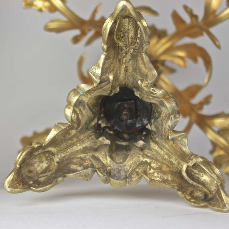 Ormolu 18th Century Pair of Gilt Bronze Candelabras