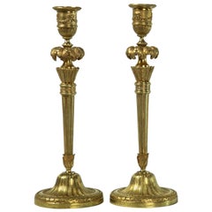 Pair of Late 19th Century Gilt Bronze Candlesticks