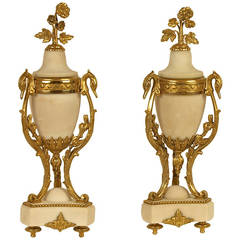 Pair of 19th Century Gilt-Bronze and Marble Urns