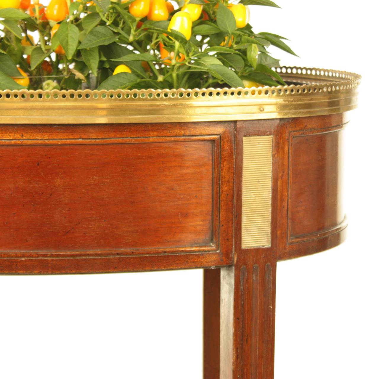 Directoire Brass-Mounted Mahogany Jardiniere Table In Good Condition In Berlin, DE