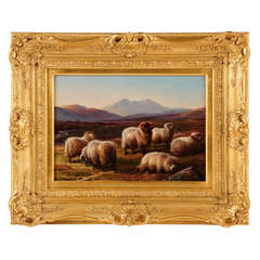 Sheep in a Highland Valley
