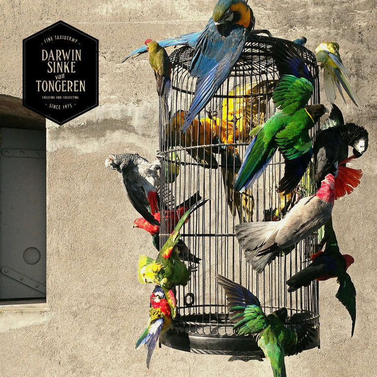 Baroque Fine Taxidermy Birdcage by Sinke & van Tongeren