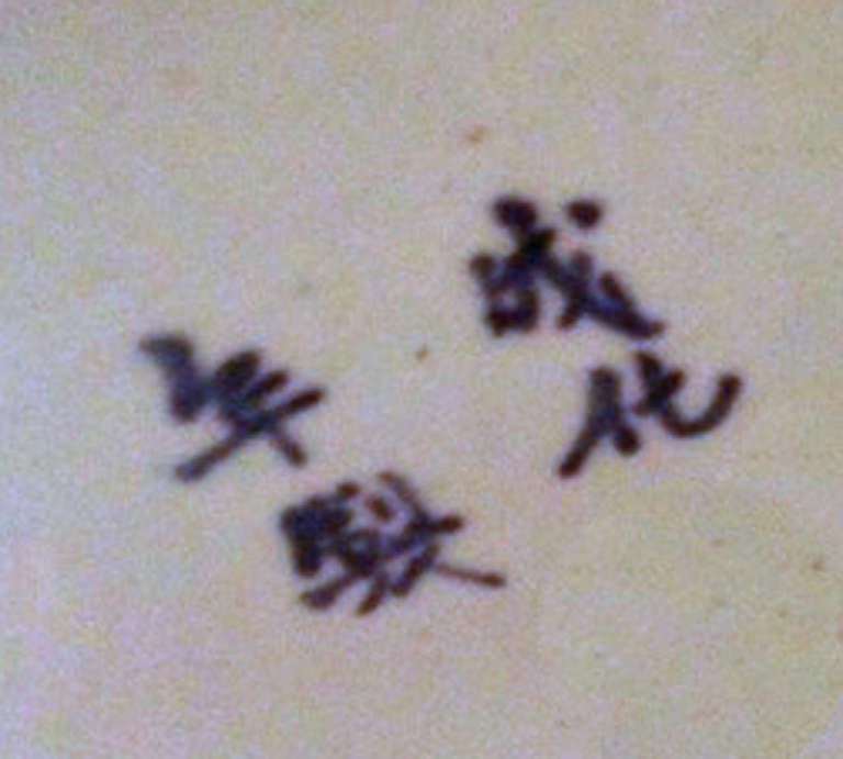 Chinese Antique His & Hers Happiness Vases