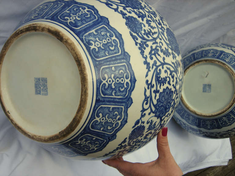 A large pair, of porcelain glazed in a blue and white chrysanthemum pattern.