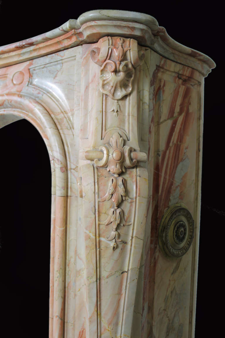 Antique Louis XV Style Fireplace Sculpted Out of a Precious Sarrancolin Marble, 19th Century 4